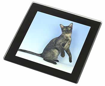 Pretty Asian Smoke Cat Black Rim High Quality Glass Coaster