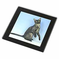 Pretty Asian Smoke Cat Black Rim High Quality Glass Coaster