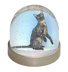 Pretty Asian Smoke Cat Snow Globe Photo Waterball