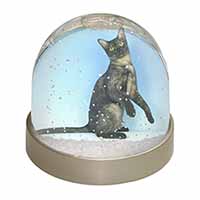 Pretty Asian Smoke Cat Snow Globe Photo Waterball