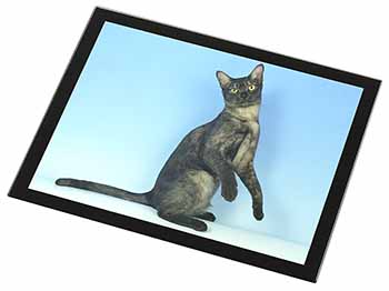 Pretty Asian Smoke Cat Black Rim High Quality Glass Placemat
