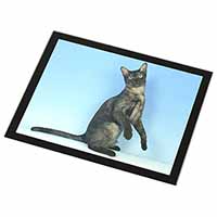 Pretty Asian Smoke Cat Black Rim High Quality Glass Placemat