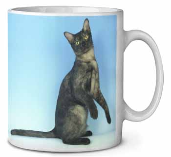 Pretty Asian Smoke Cat Ceramic 10oz Coffee Mug/Tea Cup