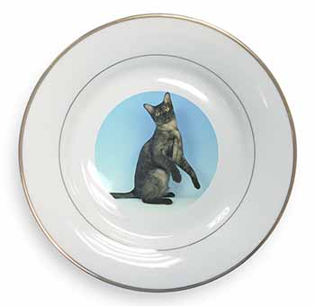 Pretty Asian Smoke Cat Gold Rim Plate Printed Full Colour in Gift Box