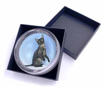 Pretty Asian Smoke Cat Glass Paperweight in Gift Box
