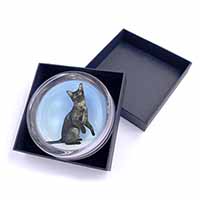 Pretty Asian Smoke Cat Glass Paperweight in Gift Box