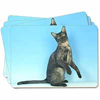 Pretty Asian Smoke Cat Picture Placemats in Gift Box