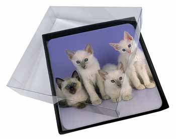 4x Cute Balinese Kittens Picture Table Coasters Set in Gift Box
