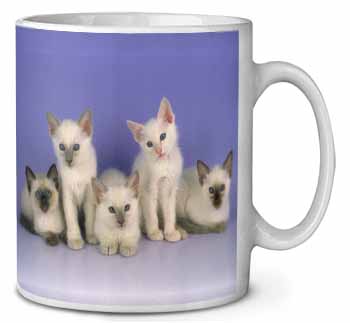 Cute Balinese Kittens Ceramic 10oz Coffee Mug/Tea Cup