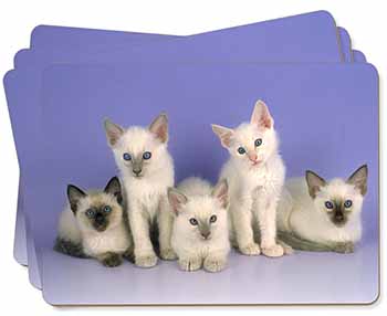 Cute Balinese Kittens Picture Placemats in Gift Box