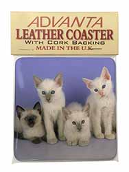 Cute Balinese Kittens Single Leather Photo Coaster