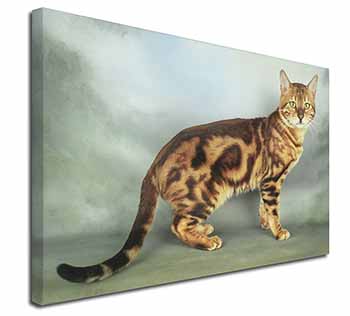 Bengal Gold Marble Cat Canvas X-Large 30"x20" Wall Art Print