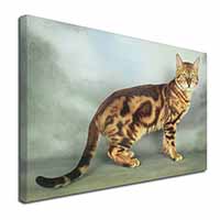 Bengal Gold Marble Cat Canvas X-Large 30"x20" Wall Art Print