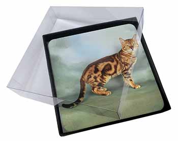4x Bengal Gold Marble Cat Picture Table Coasters Set in Gift Box
