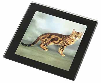 Bengal Gold Marble Cat Black Rim High Quality Glass Coaster