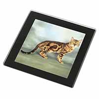 Bengal Gold Marble Cat Black Rim High Quality Glass Coaster