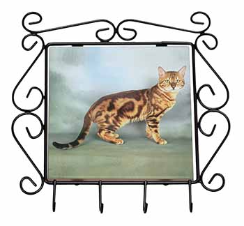 Bengal Gold Marble Cat Wrought Iron Key Holder Hooks