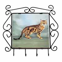 Bengal Gold Marble Cat Wrought Iron Key Holder Hooks