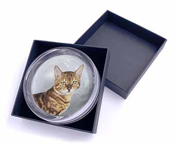 Bengal Gold Marble Cat Glass Paperweight in Gift Box