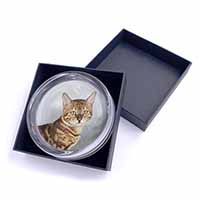 Bengal Gold Marble Cat Glass Paperweight in Gift Box