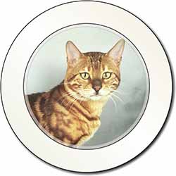 Bengal Gold Marble Cat Car or Van Permit Holder/Tax Disc Holder