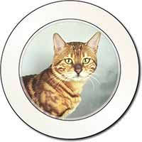 Bengal Gold Marble Cat Car or Van Permit Holder/Tax Disc Holder