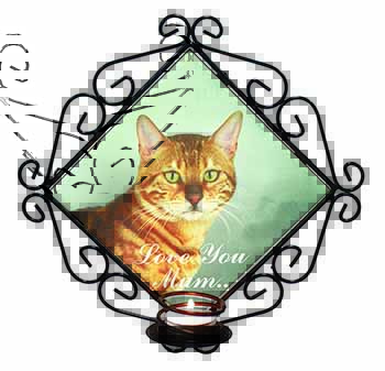 Bengal Gold Cat 