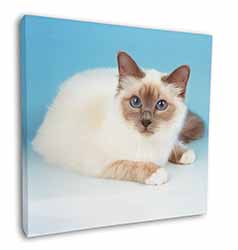 Pretty Birman Cat Square Canvas 12"x12" Wall Art Picture Print