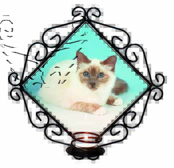 Pretty Birman Cat Wrought Iron Wall Art Candle Holder