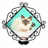 Pretty Birman Cat Wrought Iron Wall Art Candle Holder