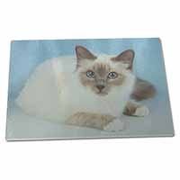 Large Glass Cutting Chopping Board Pretty Birman Cat