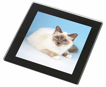 Pretty Birman Cat Black Rim High Quality Glass Coaster