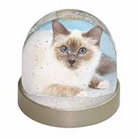 Pretty Birman Cat Snow Globe Photo Waterball