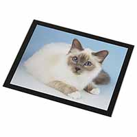 Pretty Birman Cat Black Rim High Quality Glass Placemat