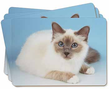Pretty Birman Cat Picture Placemats in Gift Box