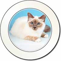 Pretty Birman Cat Car or Van Permit Holder/Tax Disc Holder