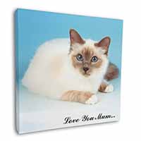 Birman Cat 