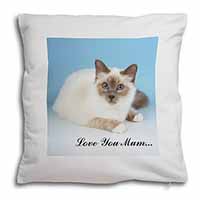 Birman Cat 