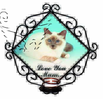 Birman Cat 