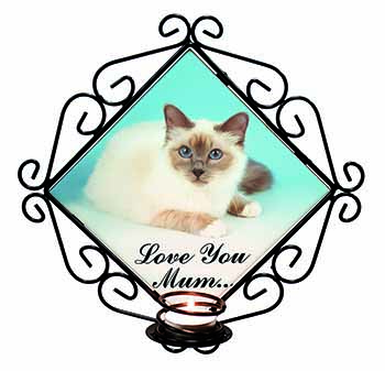 Birman Cat 