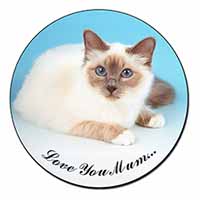 Birman Cat 