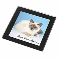 Birman Cat 