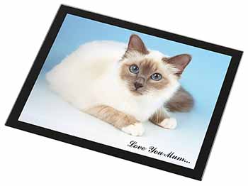 Birman Cat 