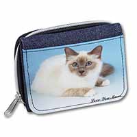 Birman Cat 