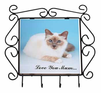 Birman Cat 