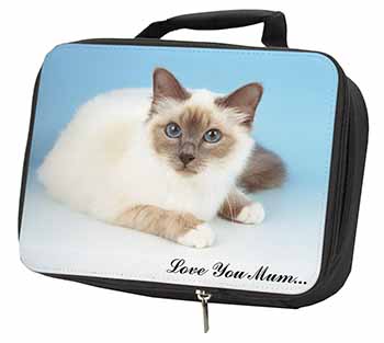 Birman Cat 