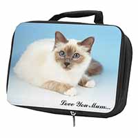 Birman Cat 