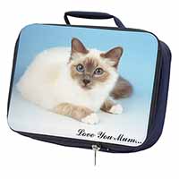 Birman Cat 