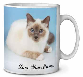 Birman Cat 