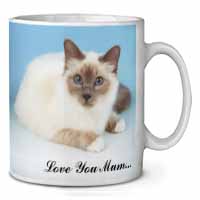 Birman Cat 